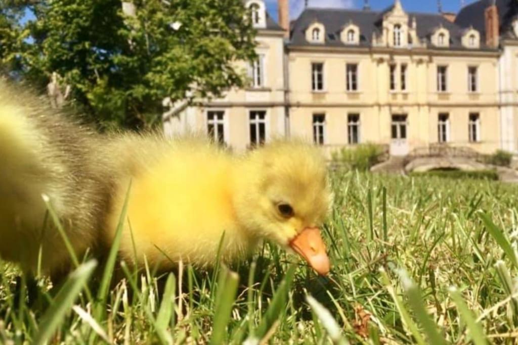 Maison A Colombages Pres De Deauville, Trouville Formentin Екстер'єр фото